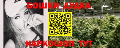 прущие крисы Гусиноозёрск